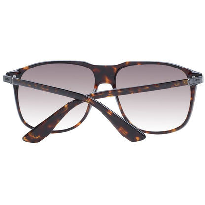 Brown Men Sunglass